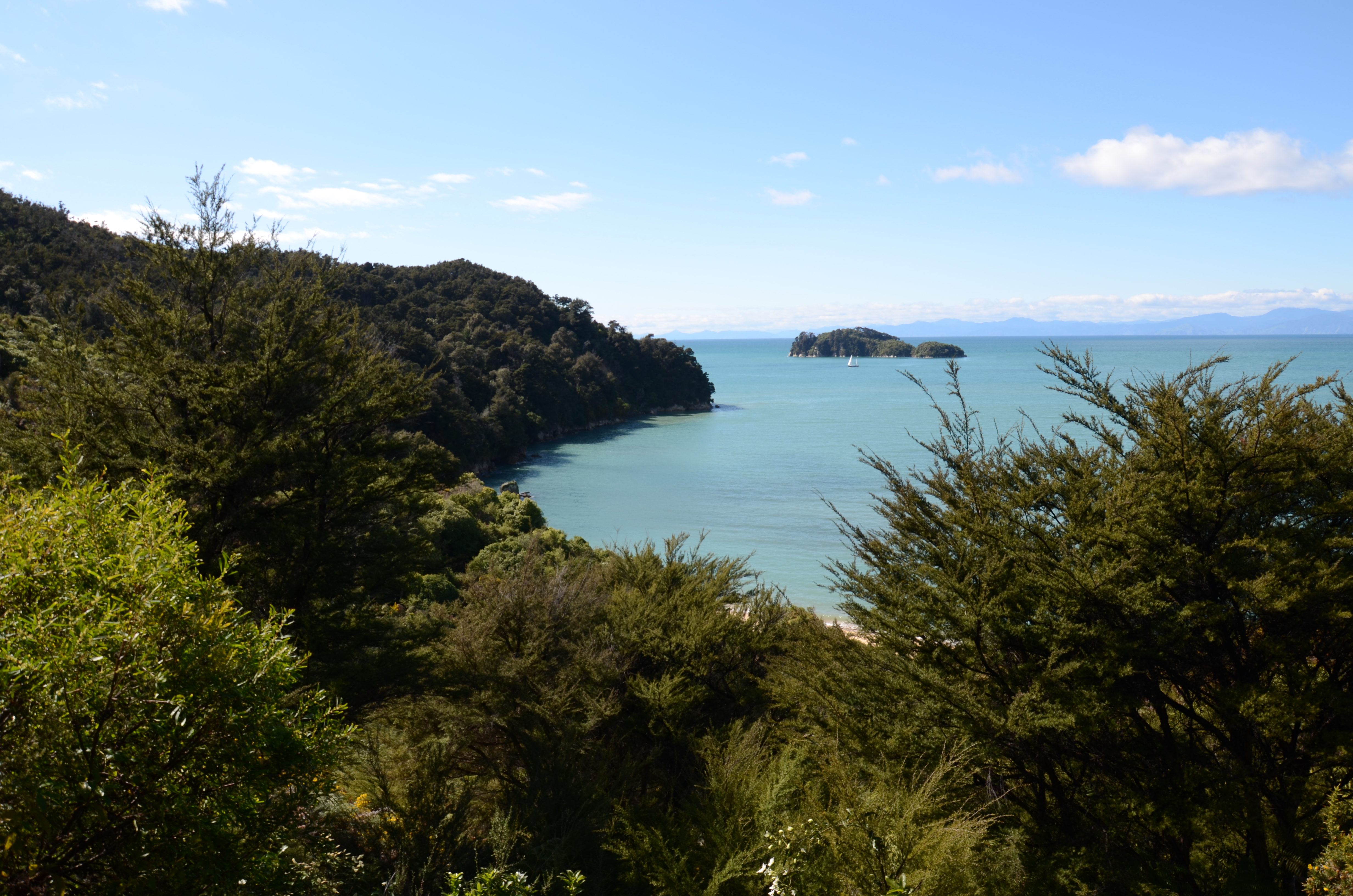 Auf der ersten Etappe des Abel Tasman Track gibt es viel Wald, schicke Buchten und einsame Straende.