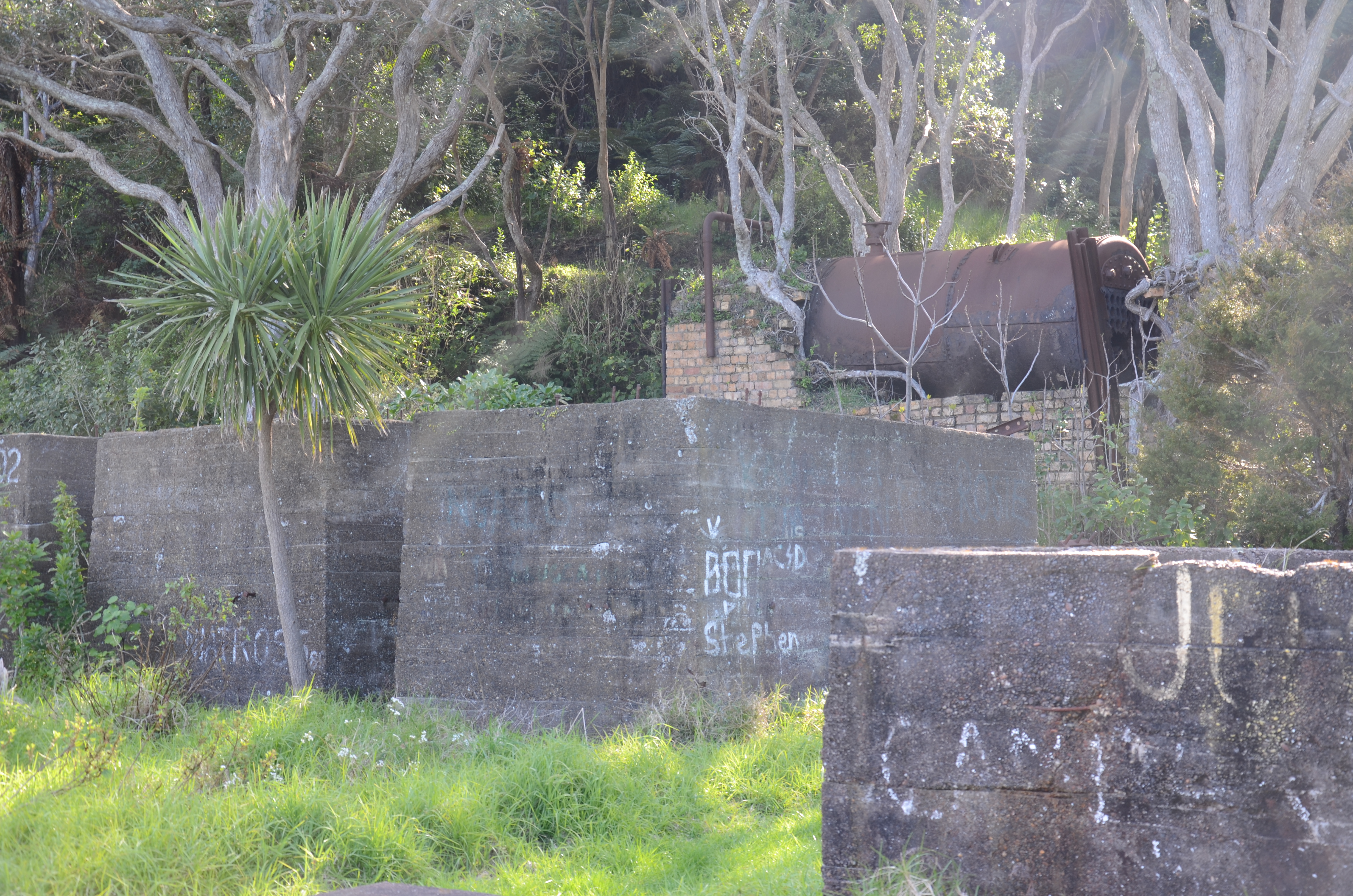 Ueberreste einer alten Walfangstation in der Bucht von Whangamumu.