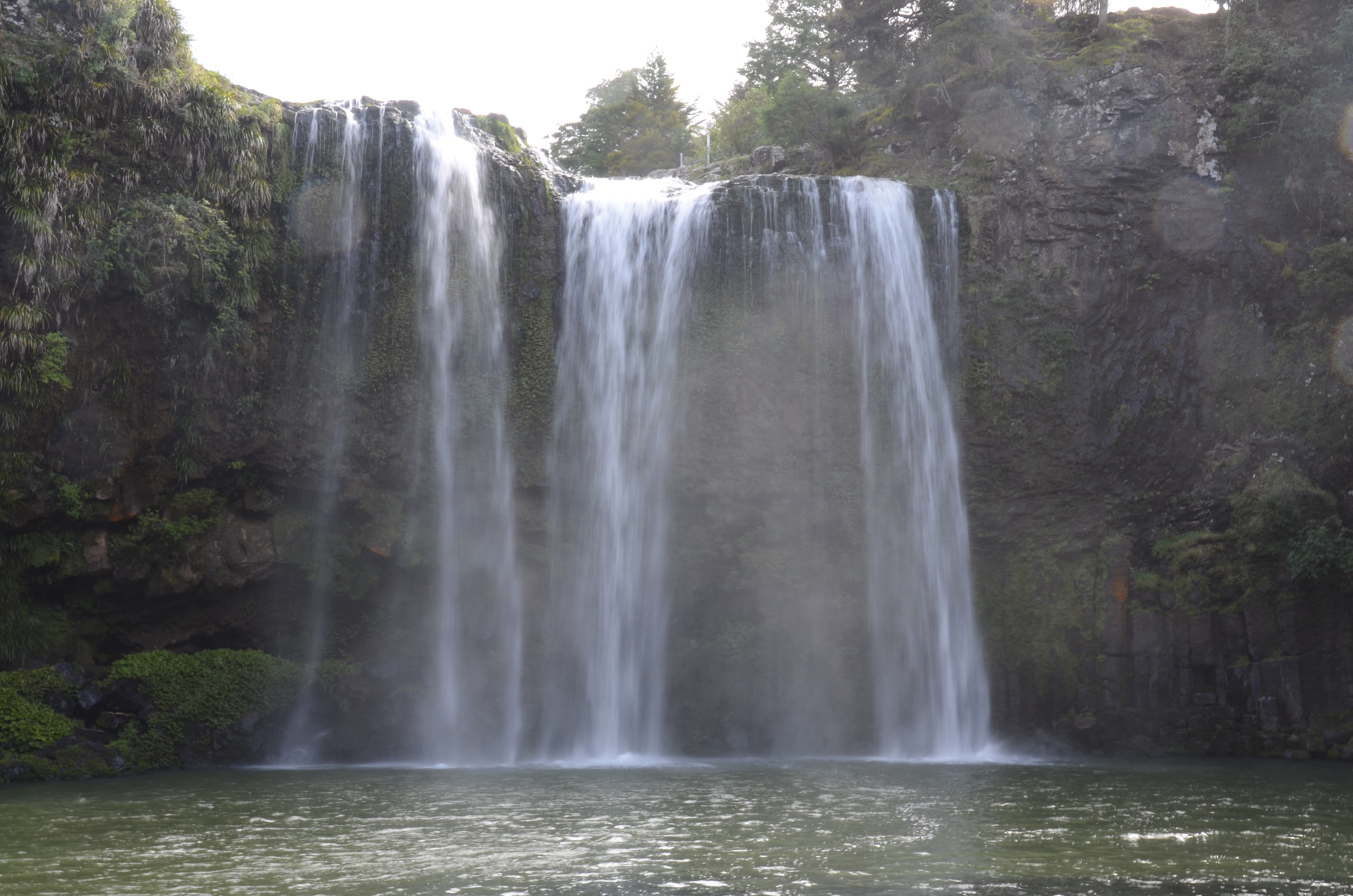Die Whangarei Falls.